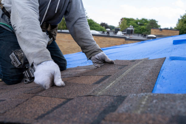 Best Commercial Roofing Services  in Erwin, TN