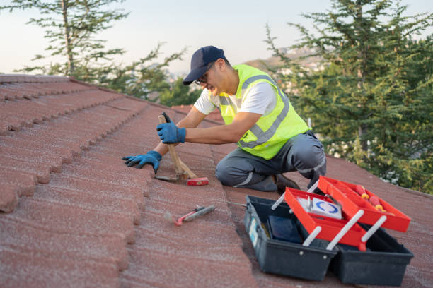 Roof Gutter Cleaning in Erwin, TN